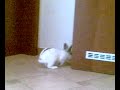20052008 20052008