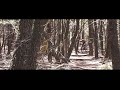Farkin Vid for callan Farkin Vid for callan