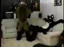 Subservient Chuckles