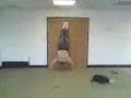 handstand press ups
