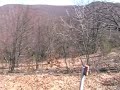 Spicasti vrh (702 m) - Gorski kotar