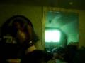 videos de crazy