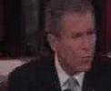 geoge bush mania geoge bush mania