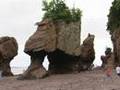 Hopewell Rocks, New Brunswick, Canada