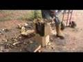 videos de Pictures and the unveiling of the wolf