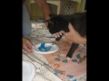 Artistic Cats of Hobe Sound Animal Protection League
