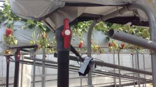 今週も明日（３月８日）より営業致します