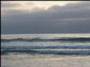 Surfing in San Diego