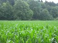 Felsenkeller