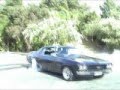 Monaro-Burnout-vid-t