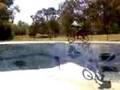 doing spine bmx