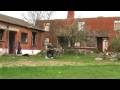 videos de Bedlam Cut - The Leaves are Turning Yellow -