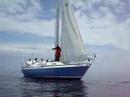 AMBASADOR CUP REGATTA 2008