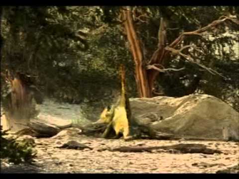 Comportamiento del Dimetrodon con sus crías