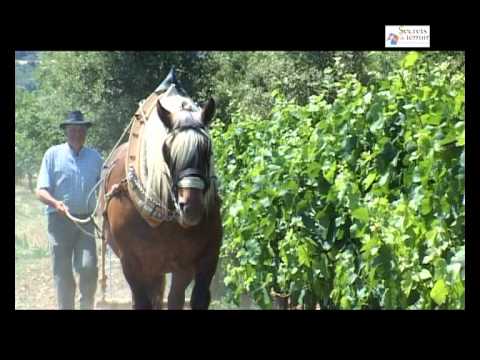 La ferme des Rosières, Secrets de Terroir en Drôme Provençale