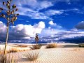 Transfer - Possesion (Almadrava Chill Mix)