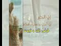 البان الإبل حليب النوق من غرائب المشروبات