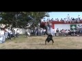 Wid - Deep Way 2010