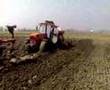 Ursus-1614-i-Massey-
