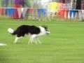 2008 USDDN Southern Disc Dog Nationals \"GIPPER\" 2008 USDDN Southern Disc Dog Nationals \"GIPPER\"