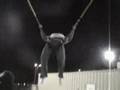 Trampoline Accident
