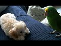 Best Friends
