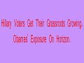 Hillary Supporters Take To Growing Grass Obamas Hiding In It Hillary Supporters Take To Growing Grass Obamas Hiding In It