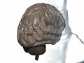 Subliminal CDs Work To Improve Yourself - ChargedAudio.com
