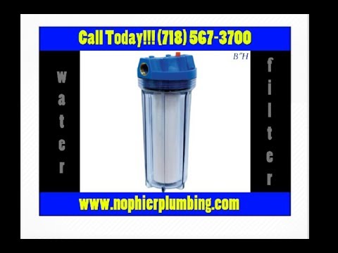 how to get rid of water bugs nyc
