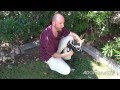 Macro Photography Techniques - Digital Photography 1 on 1 (#31) Video