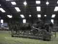 Team Challenge - Mark Broadbent  carriage driving