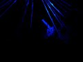 Yahel - Intelligent life Live @ Psychedelic love in Moscow