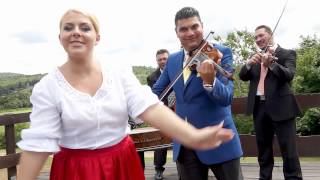 Ringó vállú csengeri violám