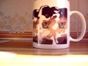 Magic Cup