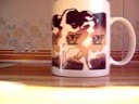Magic-Cup