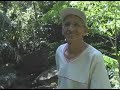 Entrevista com o casal Antonio Fernandes da Silva e Clarice Silva Fernandes, moradores do bairro da Pedra Preta, Sertão da Quina, Ubatuba, SP.