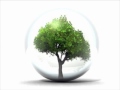 Pierrot - Eco=system