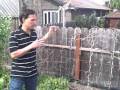 Growing Vertically in Small Spaces - Examples of Vertical Gardening Trellis Methods