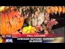 Chicago Botanic Garden Pumpkin Creations