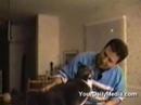 talking cats