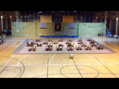 I Gimnastrada Toledo 2012. Ayuda a la AECC