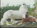 Krosfyah - Pump Me Up