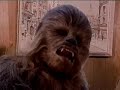 Chewy For Trainables