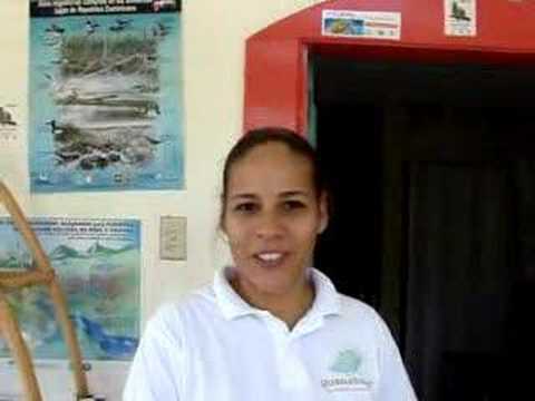 See video