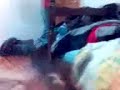 Petarda vo kutija Petarda vo kutija