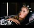 Belle de Jour Presentation (Graphic Material Within)