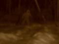 SHOCKING YETI ATTACK CAUGHT ON VIDEO