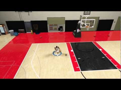how to shoot properly in nba 2k11