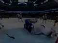 Boston Bruins- Fight to Win
