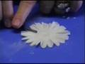 Cake Decorating -- Daisies My Way by Glenda Galvez